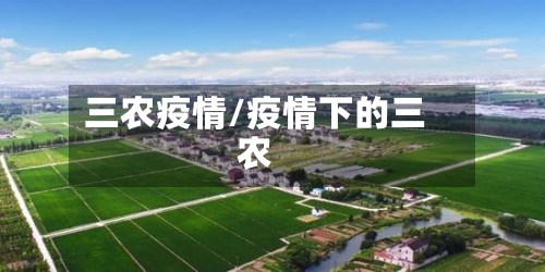 三农疫情/疫情下的三农-第2张图片
