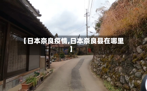 【日本奈良疫情,日本奈良县在哪里】-第2张图片