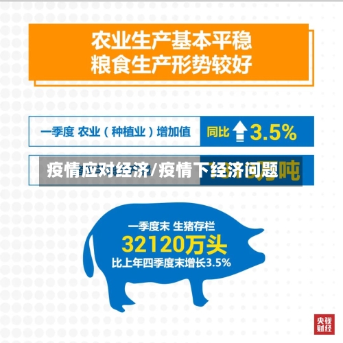 疫情应对经济/疫情下经济问题-第2张图片