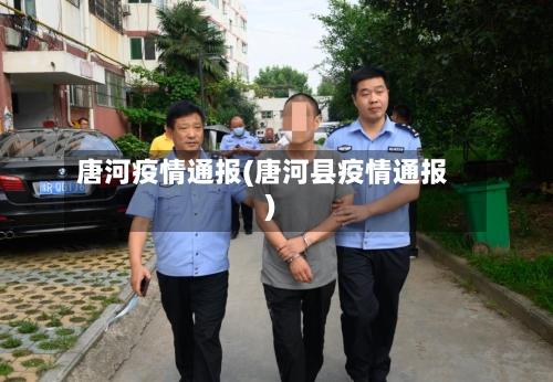 唐河疫情通报(唐河县疫情通报)-第2张图片