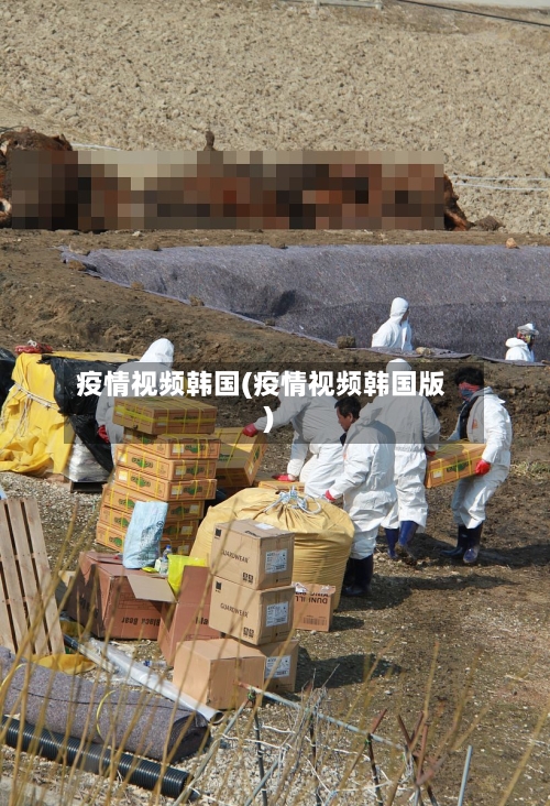疫情视频韩国(疫情视频韩国版)-第1张图片
