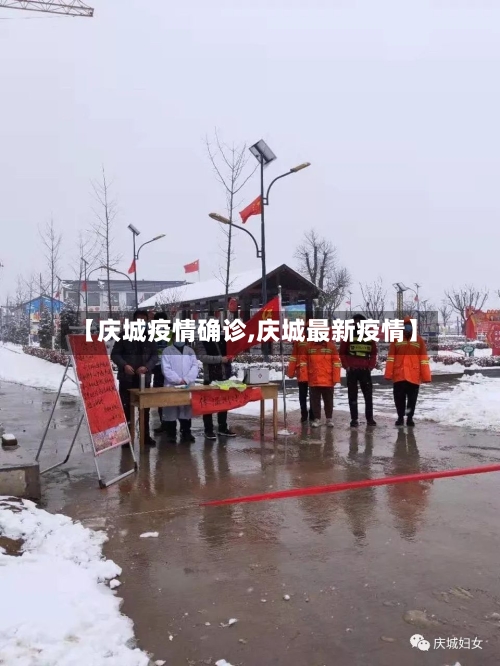 【庆城疫情确诊,庆城最新疫情】-第3张图片
