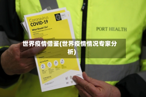 世界疫情借鉴(世界疫情情况专家分析)-第2张图片
