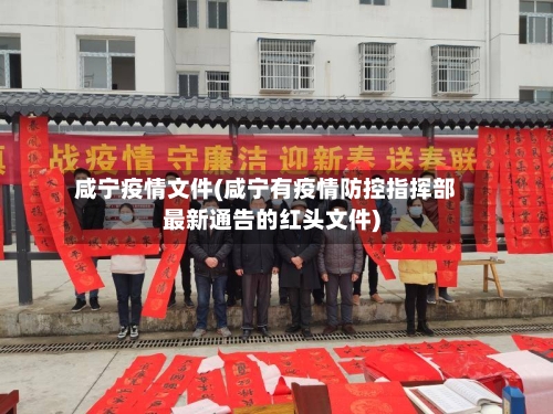 咸宁疫情文件(咸宁有疫情防控指挥部最新通告的红头文件)-第3张图片