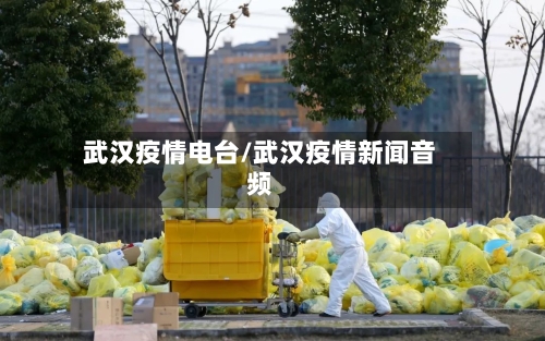 武汉疫情电台/武汉疫情新闻音频-第2张图片