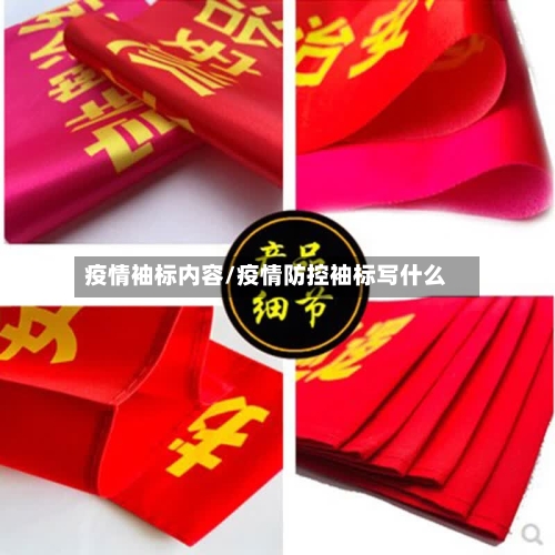疫情袖标内容/疫情防控袖标写什么-第2张图片