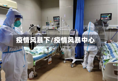 疫情风暴下/疫情风暴中心-第2张图片