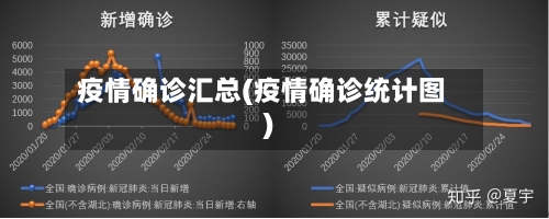 疫情确诊汇总(疫情确诊统计图)-第1张图片
