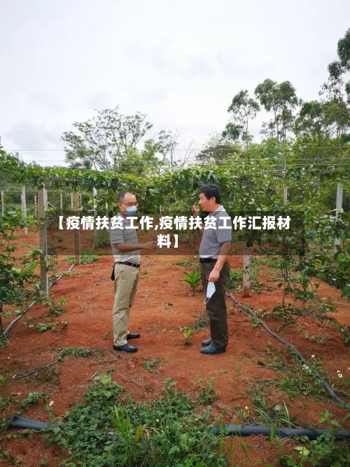 【疫情扶贫工作,疫情扶贫工作汇报材料】-第1张图片