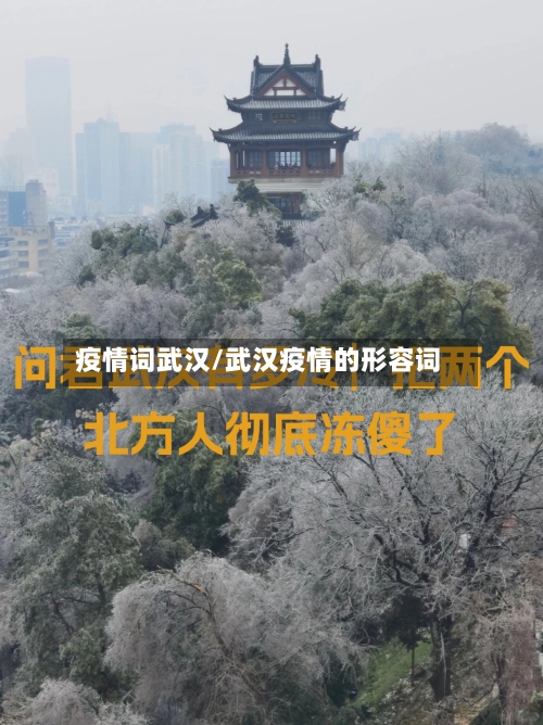 疫情词武汉/武汉疫情的形容词-第2张图片