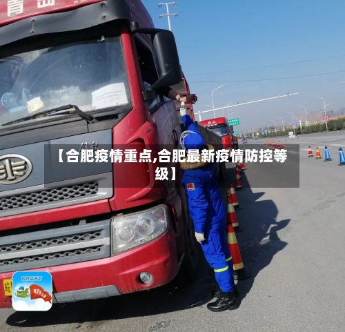 【合肥疫情重点,合肥最新疫情防控等级】-第2张图片