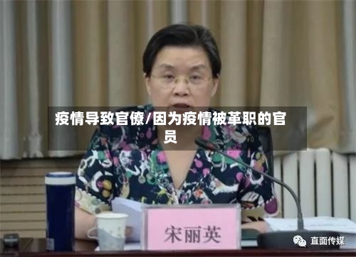 疫情导致官僚/因为疫情被革职的官员-第2张图片