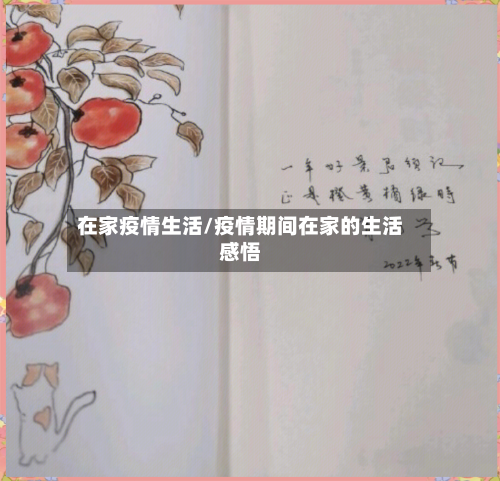 在家疫情生活/疫情期间在家的生活感悟-第2张图片