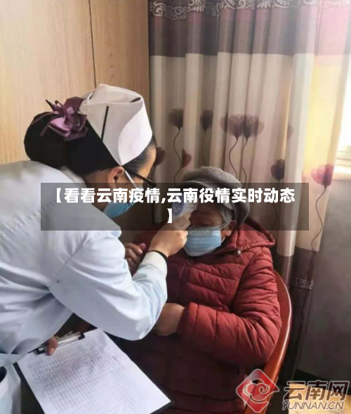 【看看云南疫情,云南役情实时动态】-第3张图片