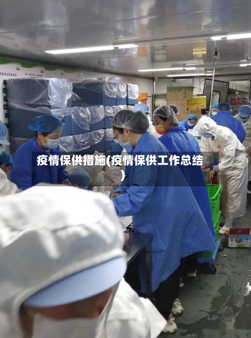 疫情保供措施(疫情保供工作总结)-第2张图片