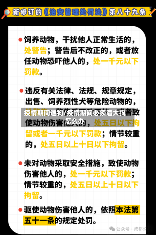 疫情期间遛狗/疫情期间必须溜大狗怎么办-第3张图片