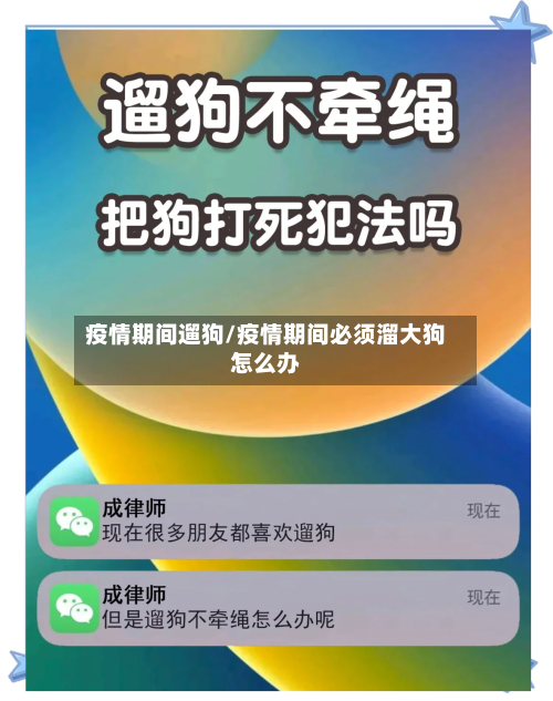 疫情期间遛狗/疫情期间必须溜大狗怎么办-第1张图片