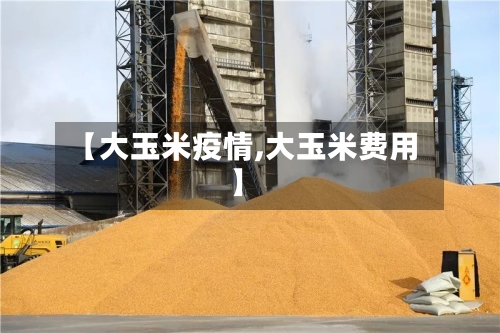 【大玉米疫情,大玉米费用】-第1张图片
