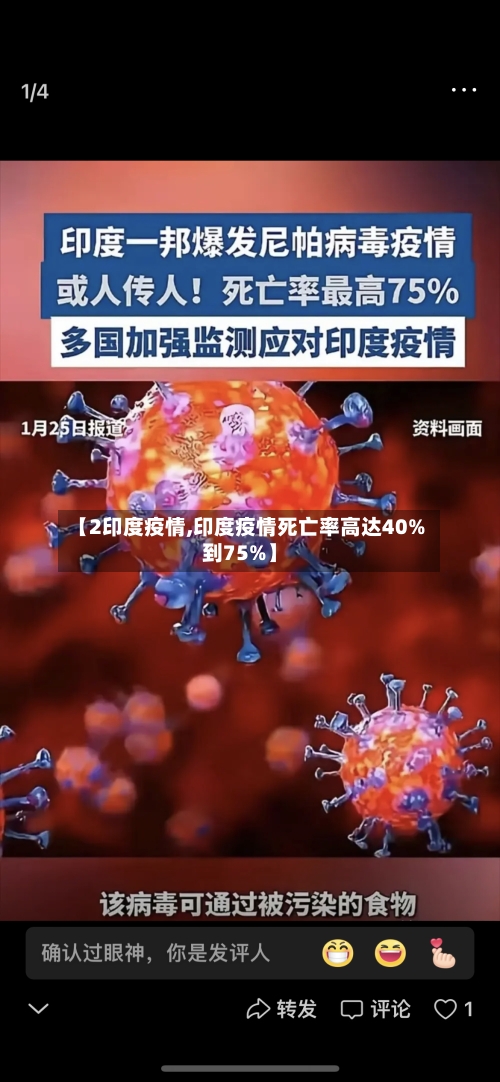 【2印度疫情,印度疫情死亡率高达40%到75%】-第2张图片