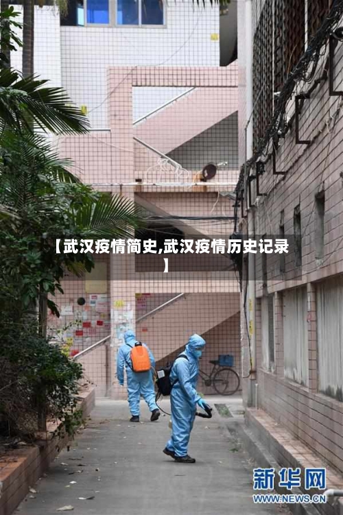 【武汉疫情简史,武汉疫情历史记录】-第1张图片
