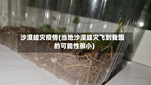 沙漠蝗灾疫情(当地沙漠蝗灾飞到我国的可能性很小)-第1张图片