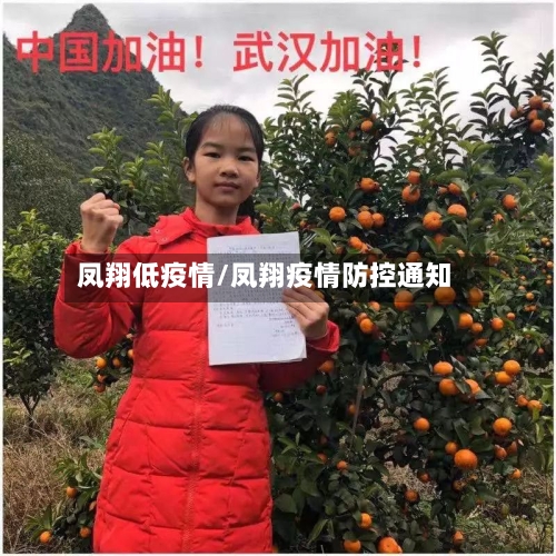 凤翔低疫情/凤翔疫情防控通知-第2张图片