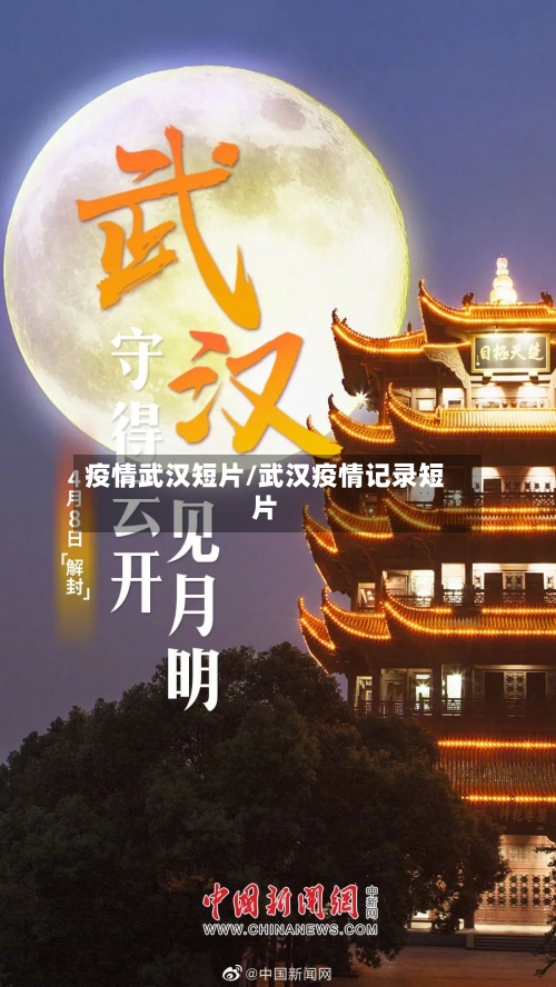 疫情武汉短片/武汉疫情记录短片-第3张图片