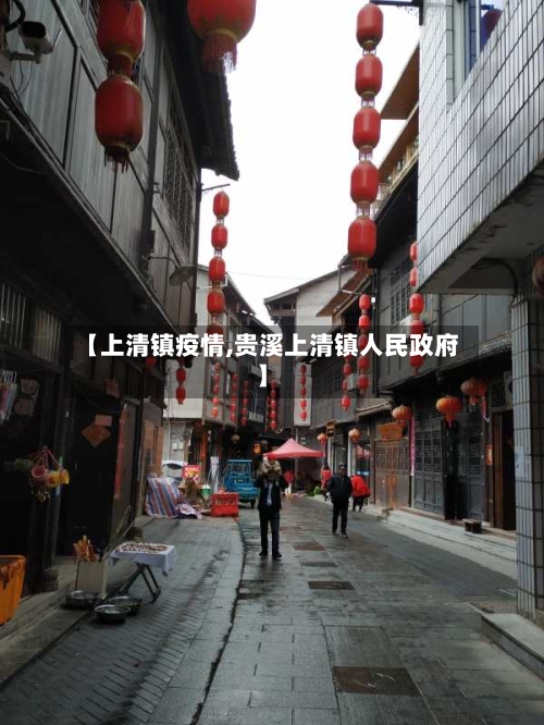 【上清镇疫情,贵溪上清镇人民政府】-第2张图片