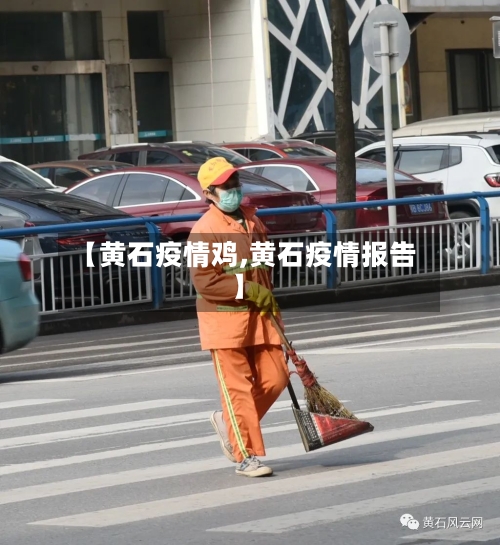 【黄石疫情鸡,黄石疫情报告】-第1张图片