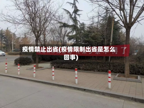 疫情禁止出省(疫情限制出省是怎么回事)-第1张图片