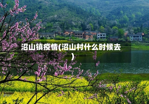 沼山镇疫情(沼山村什么时候去)-第1张图片