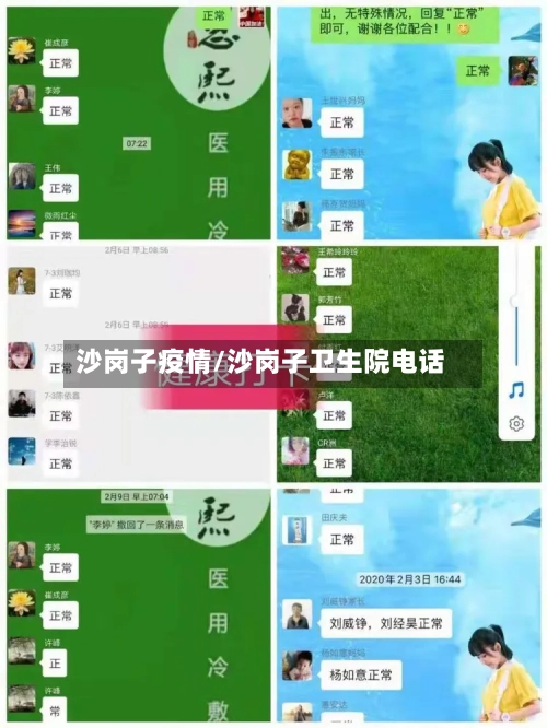 沙岗子疫情/沙岗子卫生院电话-第1张图片