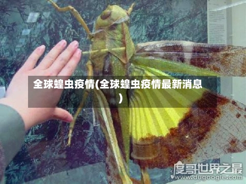 全球蝗虫疫情(全球蝗虫疫情最新消息)-第3张图片