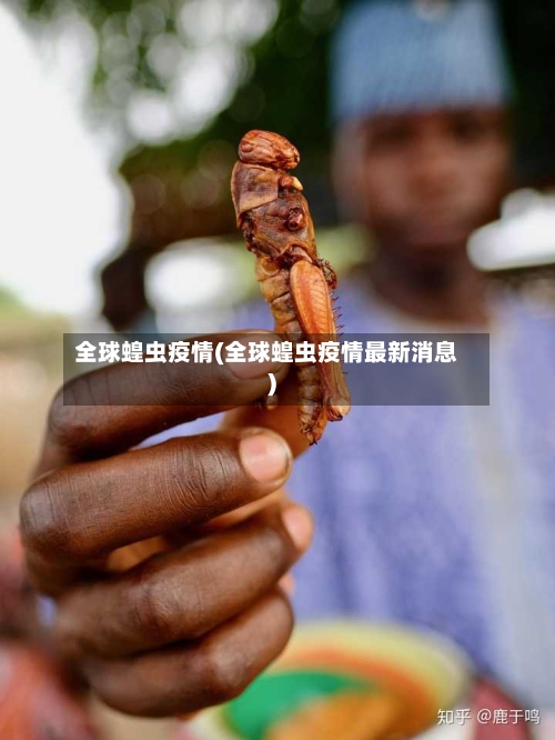 全球蝗虫疫情(全球蝗虫疫情最新消息)-第1张图片