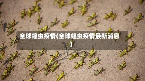 全球蝗虫疫情(全球蝗虫疫情最新消息)-第2张图片