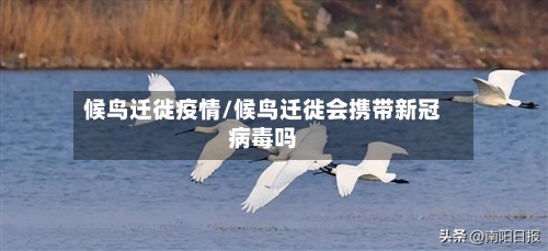 候鸟迁徙疫情/候鸟迁徙会携带新冠病毒吗-第1张图片