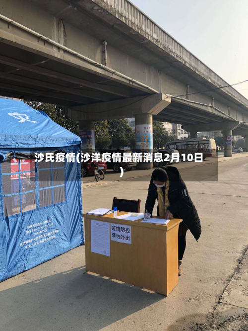 沙氏疫情(沙洋疫情最新消息2月10日)-第1张图片