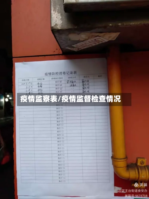 疫情监察表/疫情监督检查情况-第3张图片