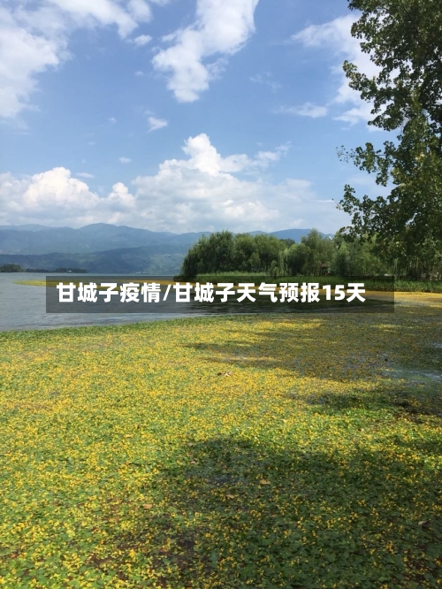 甘城子疫情/甘城子天气预报15天-第3张图片