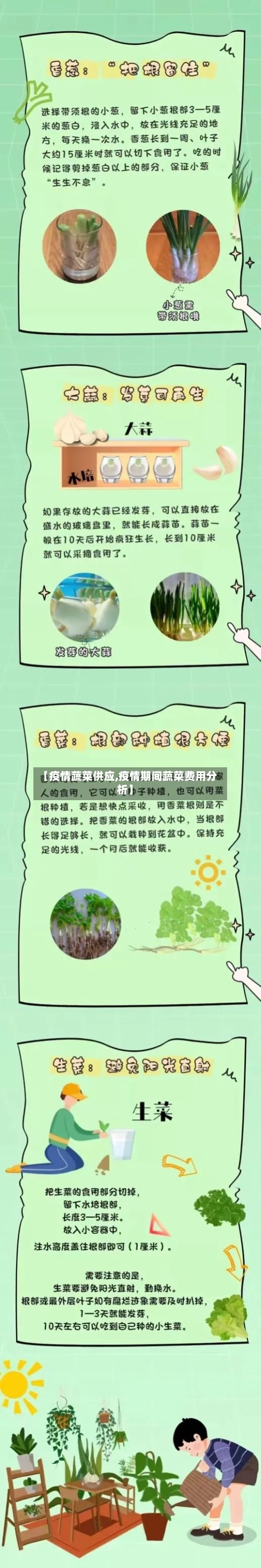 【疫情蔬菜供应,疫情期间蔬菜费用分析】-第1张图片