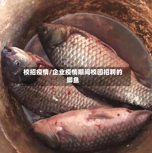 校招疫情/企业疫情期间校园招聘的鲫鱼-第1张图片