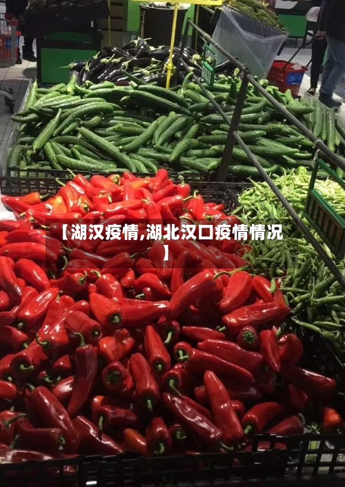 【湖汉疫情,湖北汉口疫情情况】-第1张图片