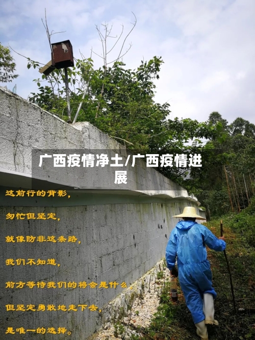 广西疫情净土/广西疫情进展-第1张图片