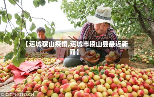 【运城稷山疫情,运城市稷山县最近新闻】-第1张图片