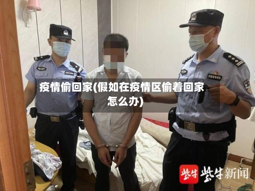 疫情偷回家(假如在疫情区偷着回家怎么办)-第1张图片