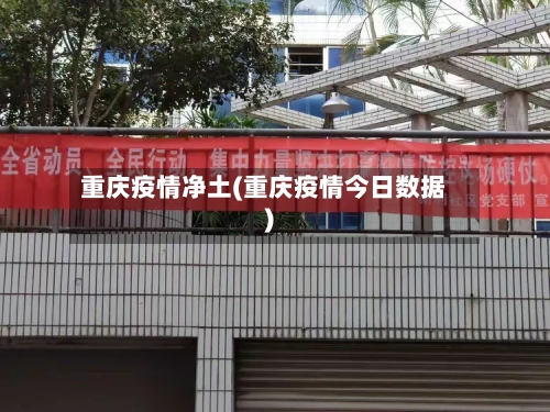 重庆疫情净土(重庆疫情今日数据)-第1张图片