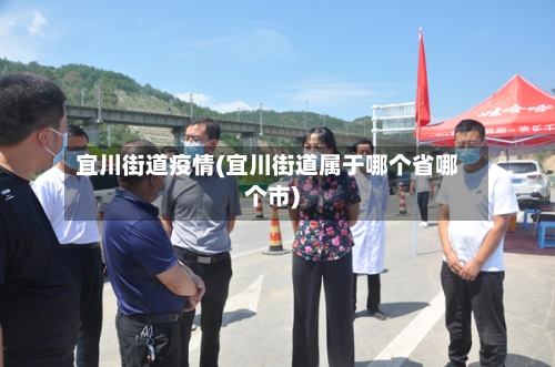 宜川街道疫情(宜川街道属于哪个省哪个市)-第2张图片