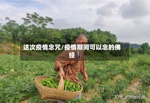 这次疫情念咒/疫情期间可以念的佛经-第1张图片