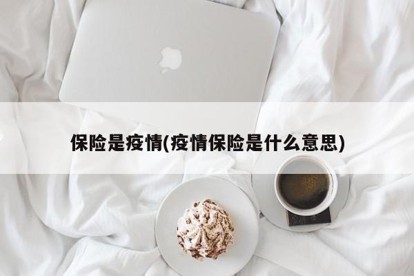 保险是疫情(疫情保险是什么意思)