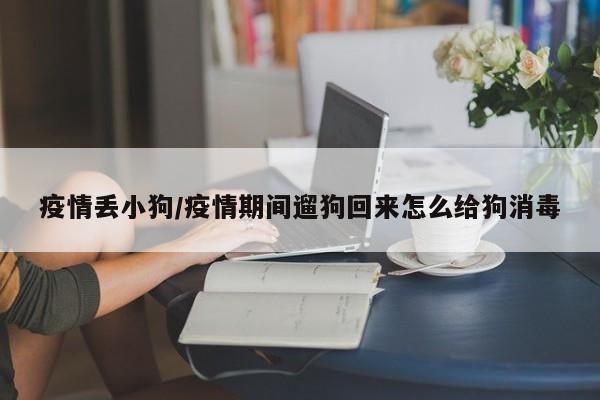 疫情丢小狗/疫情期间遛狗回来怎么给狗消毒
